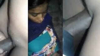 Desi village slut quick sex with her customer